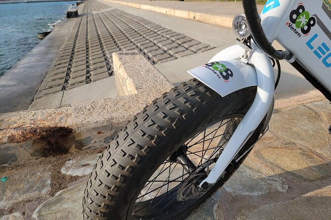 E-Bike Rental In Waikiki - Overview of E-Bike Rental