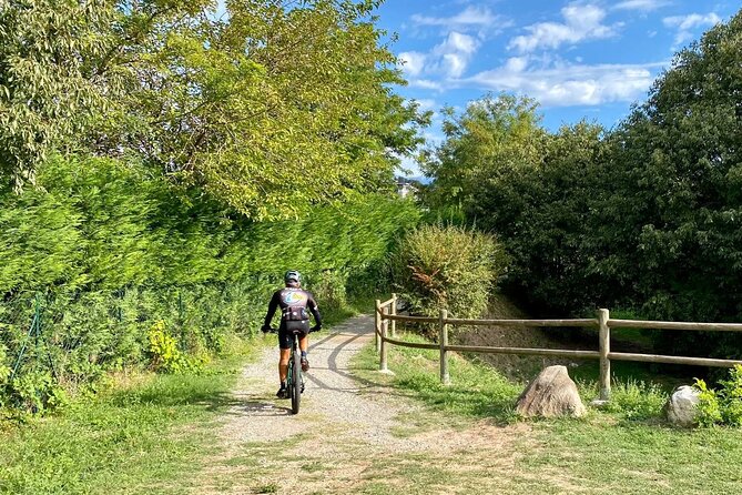 E-Bike Tour and Wine Tasting From Desenzano Inland - Exploring Desenzano Inland by E-Bike
