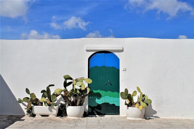 E-Bike Tour in the Plain of the Secular Olive Trees of Ostuni - Exploring the Olive Groves by E-Bike