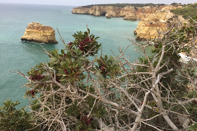 E-Bike Tour: Sete Vales Suspensos Trail (Marinha and Benagil) - Additional Information