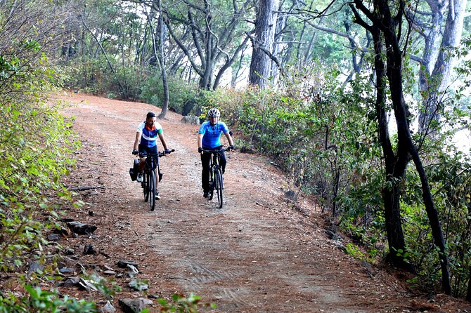 E-Bike Tour With Ephesus Visit - Cancellation Policy