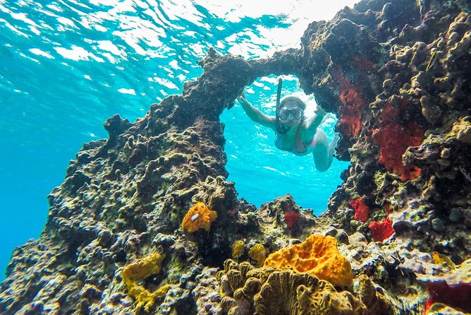 E-bike West Coast Snorkeling Tour - Tour Requirements and Restrictions