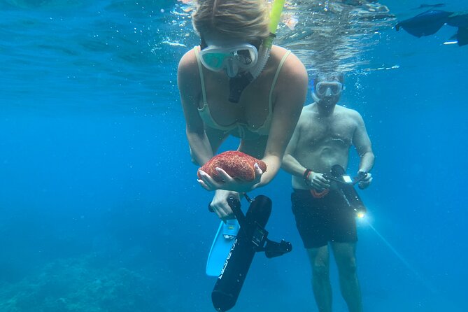 E-Scooter Snorkel With Photo and Video At Turtle Town - Additional Information and Cancellation Policy