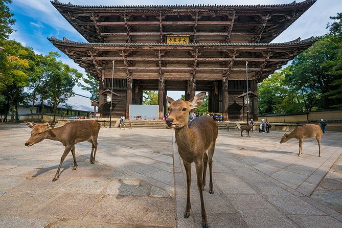 【Japan】9 Days Japan Golden Tour - Accommodation Details