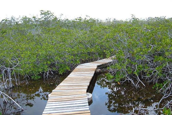 East End Private Day Trip Experience Tour - Traveler Experiences