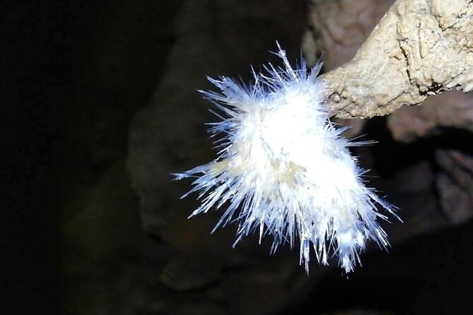El Soplao Cave Visit - Reviews and Ratings