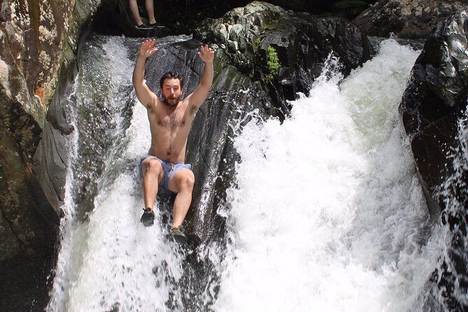 El Yunque Private Tour From San Juan  - Puerto Rico - Traveler Photos and Reviews