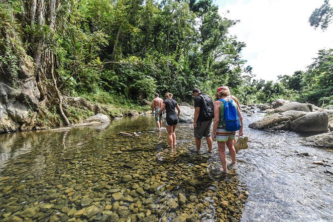 El Yunque Rainforest Tour From San Juan - What to Expect