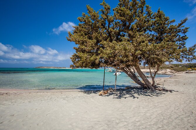 Elafonisi & Milia Mountain - Jeep Tour With Loungers and Lunch - Traveler Photos and Reviews
