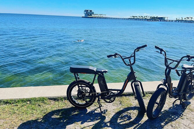 Electric Bike Day Rental - Rental Details