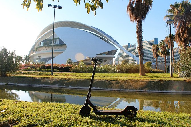 Electric Scooter Rental - Overview and Inclusions