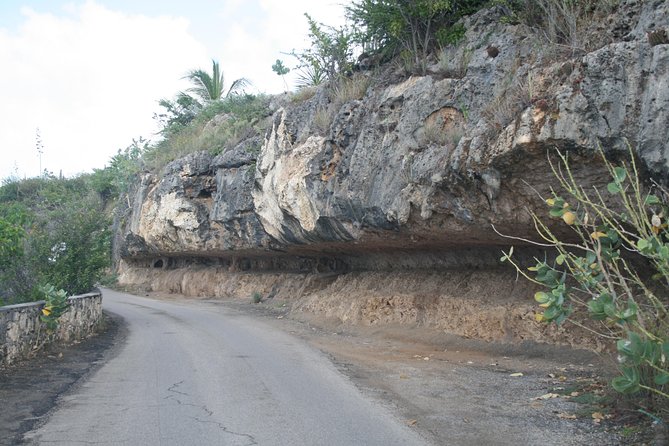 Enjoy a Private Tour of Bonaire Island in the Caribbean Sea  - Kralendijk - Meeting Point and Logistics