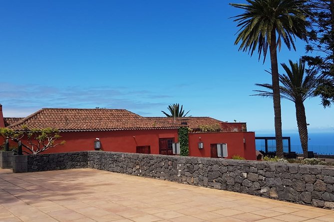 Enogastronomic Tour- 4 Hours in Tenerife - Vineyard Visit
