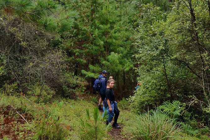 Epic Hike on Ancient Trail, Sierra Norte - Scenic Highlights