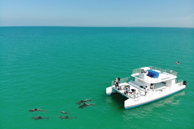 Epic Sandbar Safari With Dolphin Playground Encounter In Key West - Traveler Photos and Reviews
