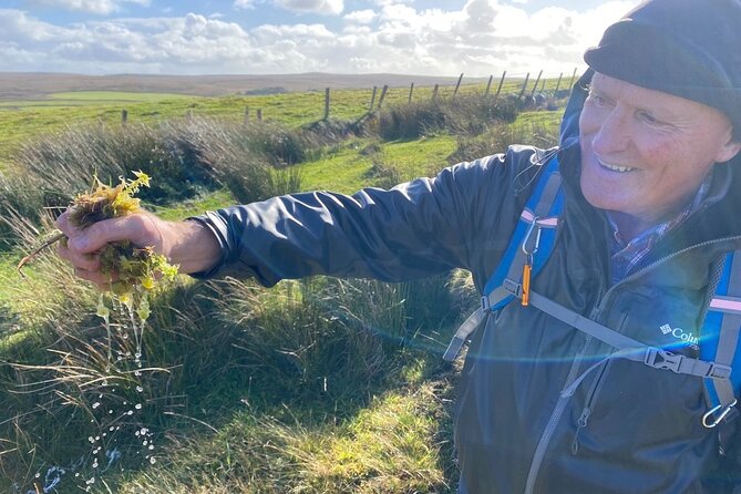 Erris Head Guided Walking Tour (AlchemyTours.ie) - Traveler Photos and Reviews