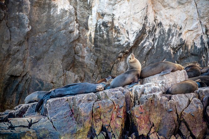 Espiritu Santo Island Tour - Reviews and Ratings