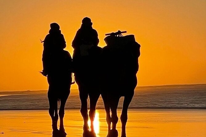 Essaouira 1 Hour Private Camel Ride - Traveler Photos and Reviews of the Camel Ride