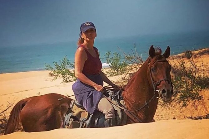 Essaouira Dromedary Camel or Horse Ride - Overview of the Experience