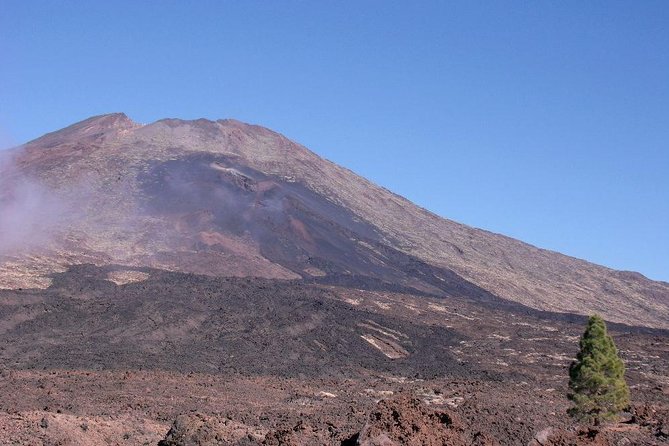 Essential Tenerife and Teide Shore Excursion VIP TOUR - Traveler Reviews