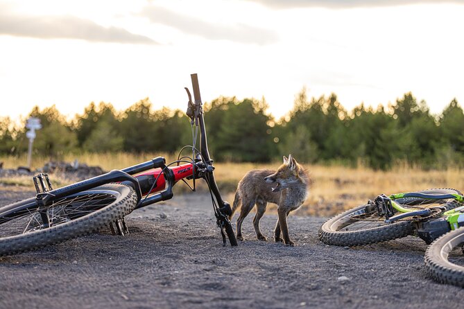 Etna Ebike Tour - Meeting and Pickup