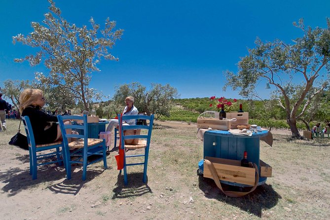Etna Wine and Food Volcanic Day Tour - Private Experience - Mount Etnas Landscape and Wineries