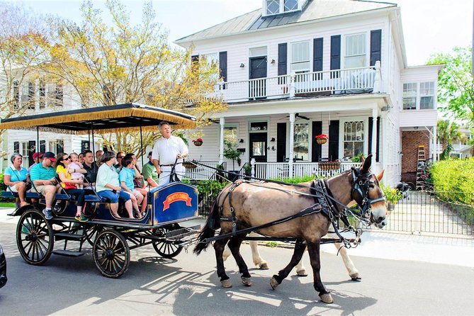 Evening Horse-Drawn Carriage Tour of Downtown Charleston - What To Expect on the Tour
