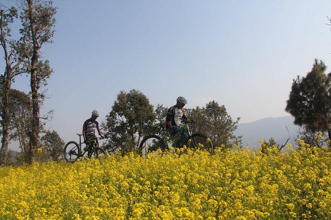 Exclusive Mountain Biking Tour With Sunrise Over Mt.Annapurna From Pokhara. - Common Questions