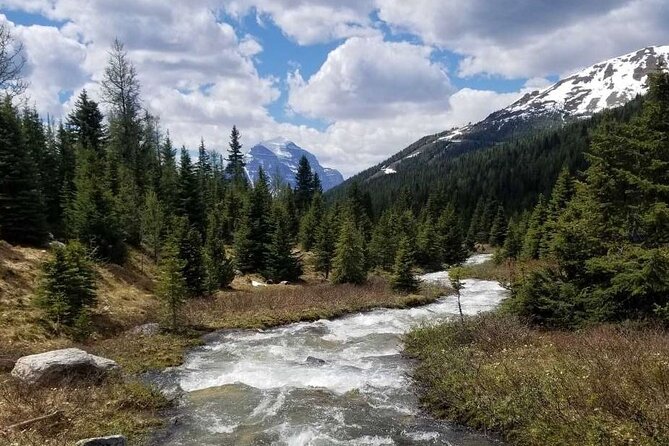 Exclusive Skoki Backcountry Guided Hiking in Lake Louise With Van Shuttle - The Sum Up