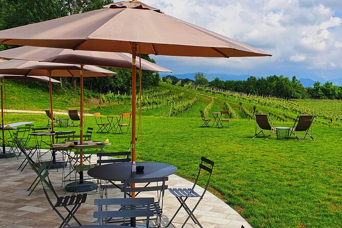 Exclusive Tour of the Vineyards With Visit to the Cellar! - Directions and Itinerary
