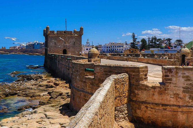 Excursion Essaouira From Marrakech - Traveler Reviews and Ratings