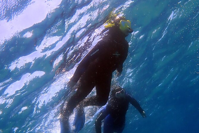 Experience 2-Hour Guided Snorkelling in Costa Teguise Lanzarote - Booking and Reservation
