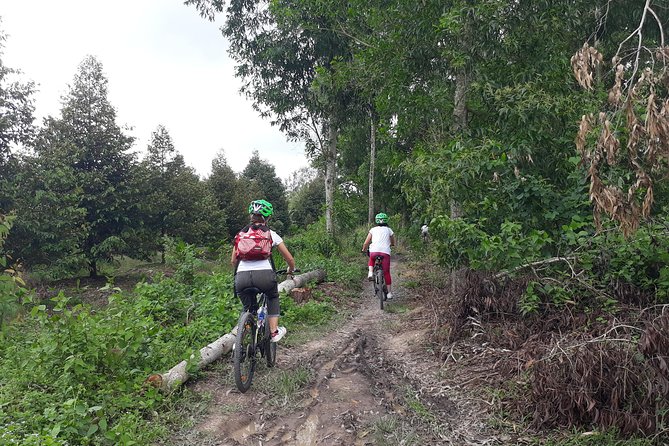 Experience Mekong By Bike & Boat 04 Days Activities - Transportation and Pickup Details