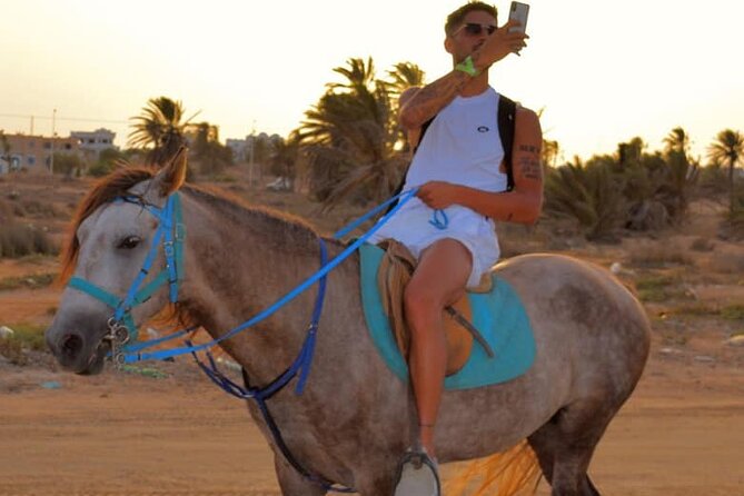 Explore Djerba With Our Four-Legged Friends - Inclusions for the Pet-Friendly Experience