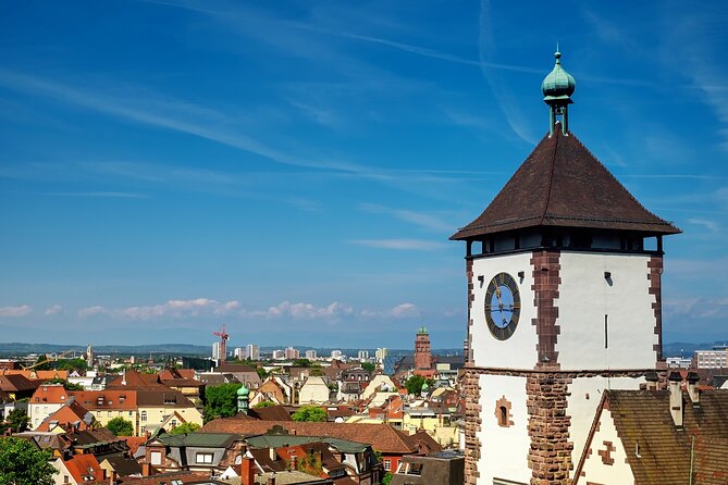 Explore Freiburg'S Art and Culture With a Local - Performing Arts and Theater