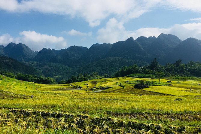 Explore Mai Chau - Pu Luong - Ninh Binh 4 Days / 3 Nights - Highlights and Attractions
