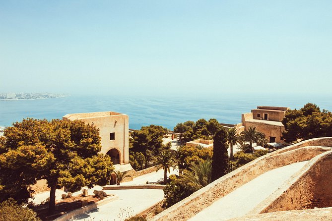 Explore Malaga in 1 Hour With a Local - Meeting Point Details