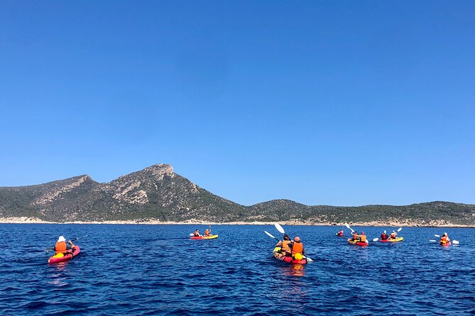 Explore the Island Dragonera With the Kayak - Discovering Dragoneras Natural Beauty