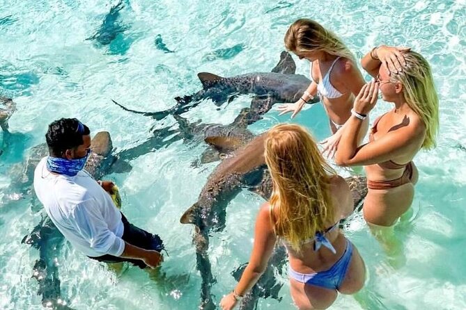 Exuma Full Day 6 Stop Group Tour - Booking and Reservation