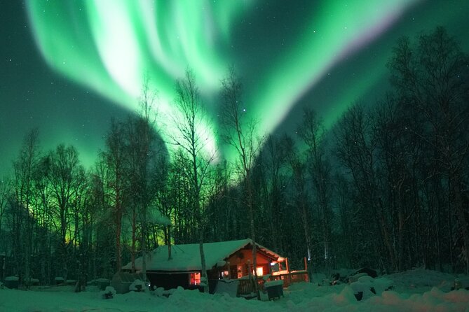 Fairbanks Private Northern Lights and Photography Tour - Tour Inclusions and Logistics
