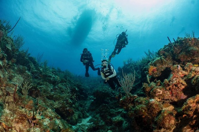 Fajardo 2-Tank Scuba Dive for Certified Divers Only - Additional Safety Guidelines and Restrictions
