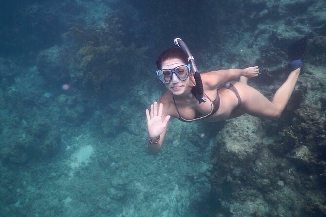 Fajardo Morning Snorkeling Tour: Check in at 8:00am - Meeting and Pickup Information