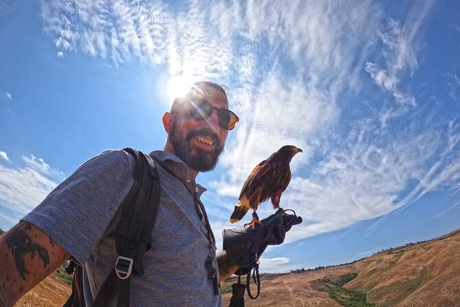 Falconry Experience in Tuscany - Experience Highlights