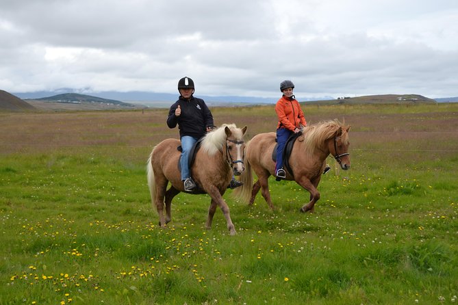 Family Friendly Horse Riding Tour in Skagafjörður - Inclusions