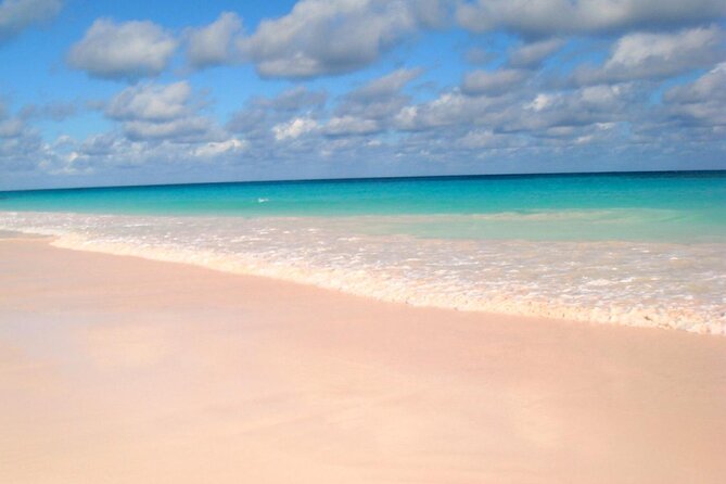 Famous Pink Sand and Pig Experience With Snorkeling - Negative Review and Host Response