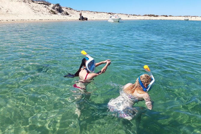 Faro - Ria Formosa Tour With Visit to 2 Islands (Deserta, Farol) 3.5 Hours - Admission Ticket: Free