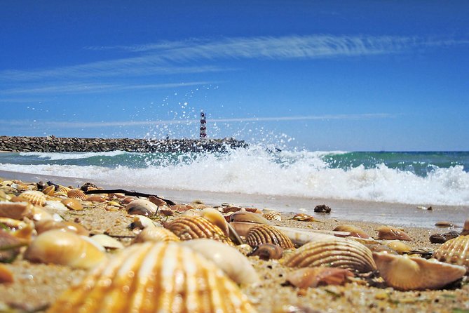 Faro to Ilha Deserta, Rio Formosa Natural Park Eco-Tour - Cancellation Policy