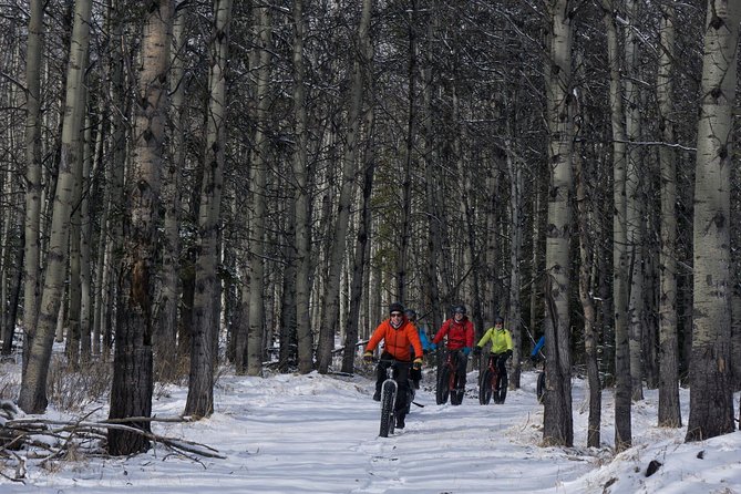 Fatbike Frozen Waterfall Tour - What to Expect