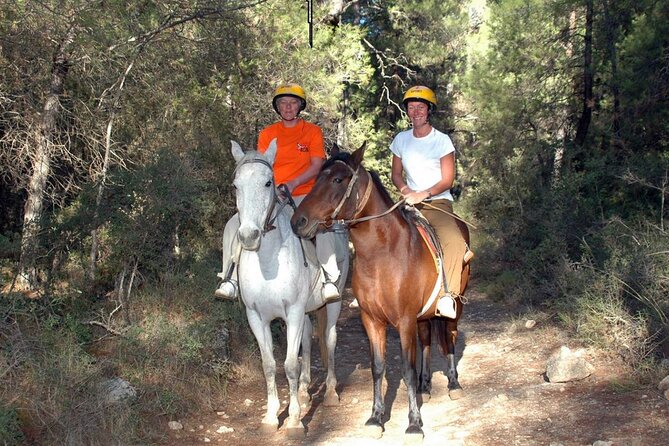 Fethiye Horse Riding Experience With Free Hotel Transfer Service - Reviews and Ratings