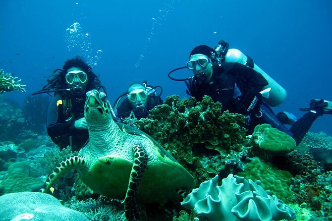 Fethiye Scuba Diving Experience By A Local Expert - What To Expect